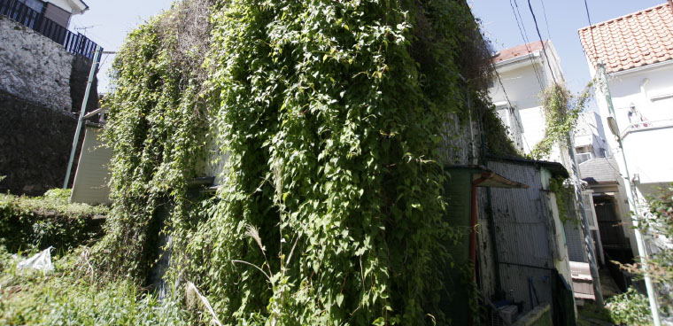 複数人で所有する共有持分不動産の現況写真